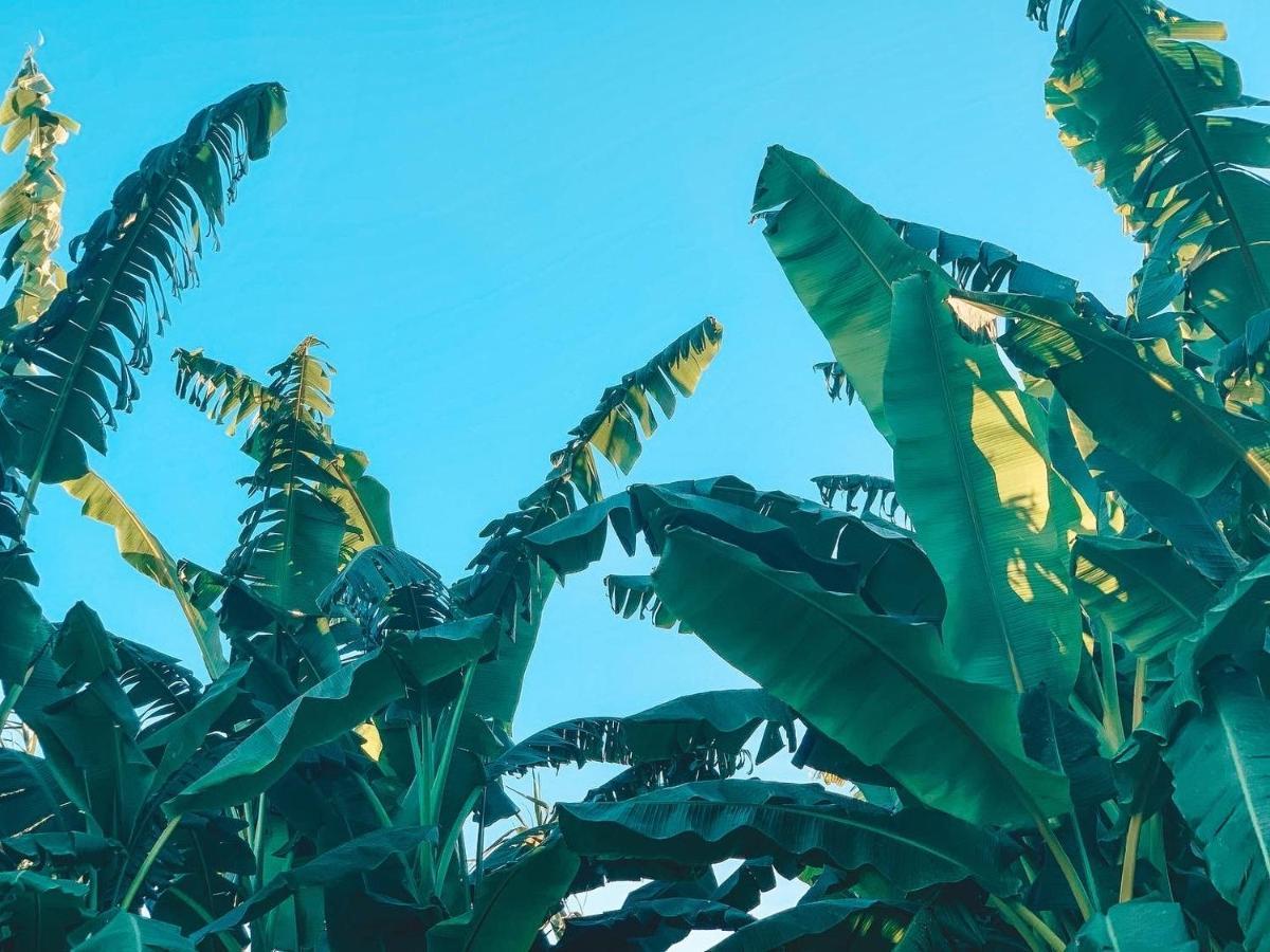 Alcácer do SalVisit Pachamama Community公寓 外观 照片